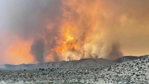 وقوع بیشتر از ۶۰ مورد آتشسوزی جنگلی در غرب آمریكا