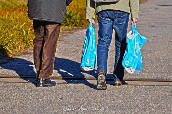 ممنوعیت استفاده از کیسه های پلاستیکی در امارات