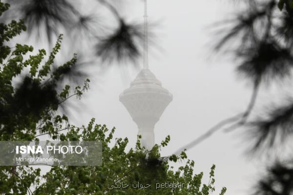 توفان گرد و غبار در نیمه غربی و جنوبی استان تهران
