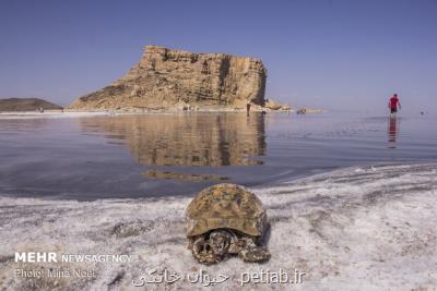 همكاری فنی فائو با ایران در ارزیابی ریسك خشكسالی دریاچه ارومیه