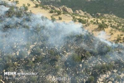 50 درصد آتش سوزی ها در حوزه مراتع و صنایع متعلق به خوزستان است