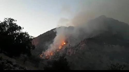 جنگل های نارك گچساران همچنان می سوزند بعلاوه عكس