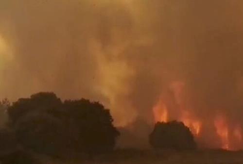 درخواست ایتالیا از اروپا برای كمك به مهار آتش سوزی های جنگلی