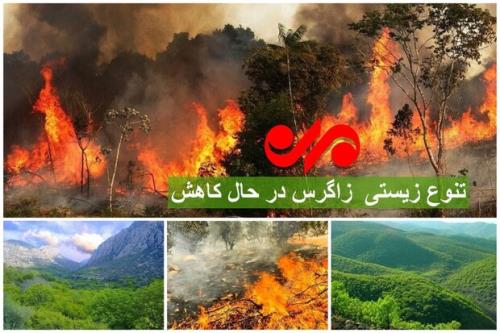 داغ زاگرس بر دل طبیعت