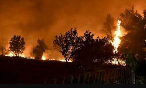 تشدید آتشسوزی های جنگلی در غرب آمریکا