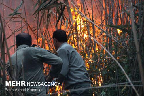 آخرین وضعیت آتشسوزی تالاب انزلی