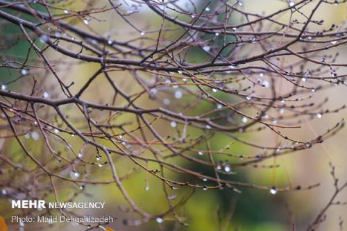 رگبار باران و وزش باد شدید در 13 استان