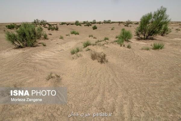 سدسازی غیر اصولی از فاكتورهای مهم بیابان زایی در ایران