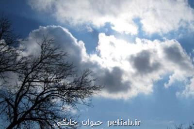 آسمان ایران طی ۵ روز آینده صاف است
