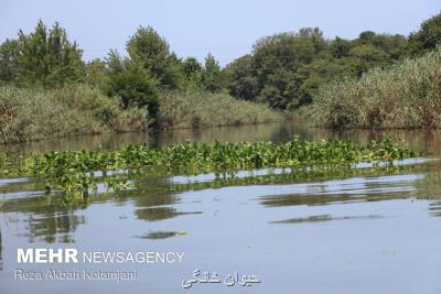 ثبت اسناد تالاب ها به اسم وزارت نیرو، غیر قانونی می باشد