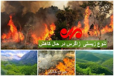 داغ زاگرس بر دل طبیعت