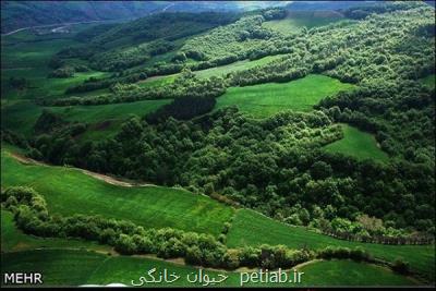 تعرض به تنها جنگل جلگه ای هیرکانی در گیلان