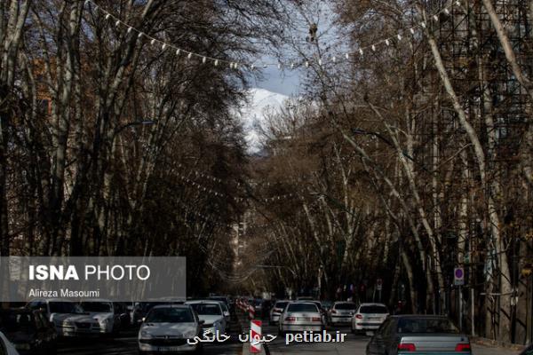 كیفیت هوای تهران در شرایط قابل قبول