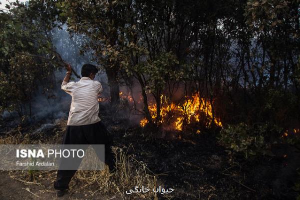 داوطلبان بدون آموزش مبادرت به اطفای حریق در جنگلها نكنند