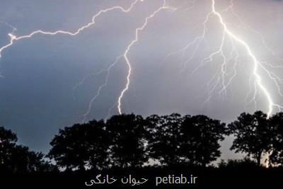 پیشبینی وزش باد شدید و رگبار در آسمان ۲۴ استان كشور