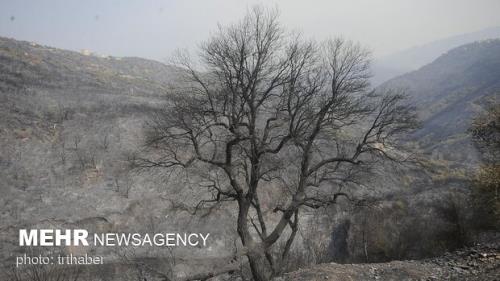 کمتر از ۵۰ درصد سیاست های ابلاغی رهبری محقق شده است