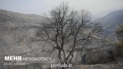 کمتر از ۵۰ درصد سیاست های ابلاغی رهبری محقق شده است