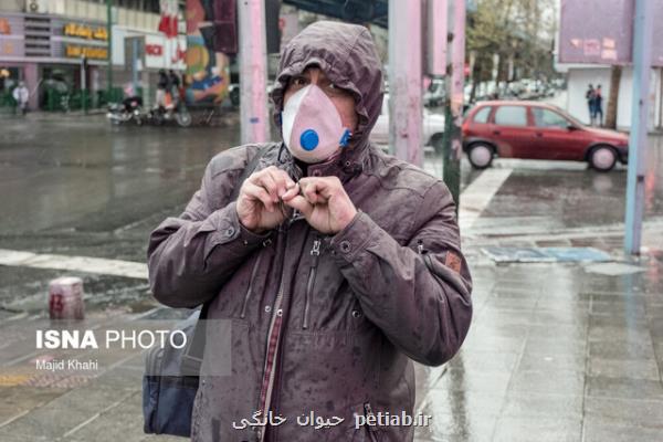وزش باد شدید و رگبار باران در تهران