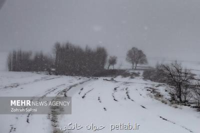 بارش برف و باران در بعضی مناطق کشور