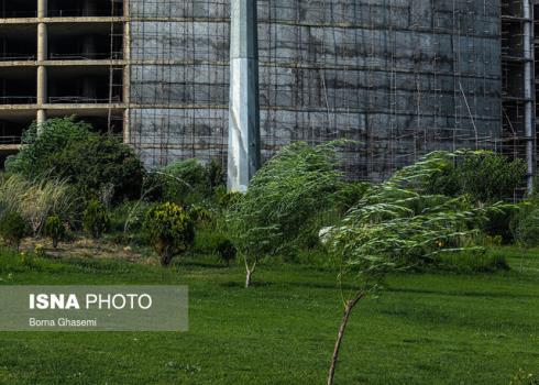 وزش باد نسبتا شدید در جنوب غرب تهران