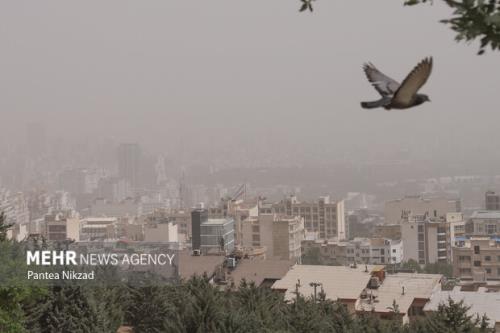 هوای تهران برای گروههای حساس آلوده است