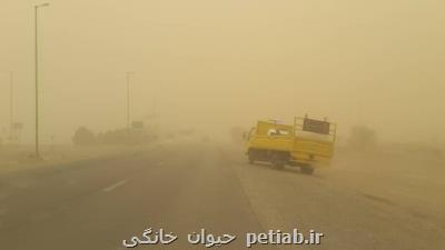 توفان گردوخاک شرق اصفهان را در می نوردد