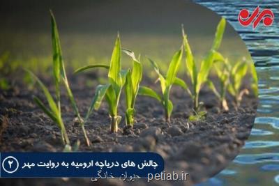 لزوم تغییر الگوی کشت برای نجات دریاچه