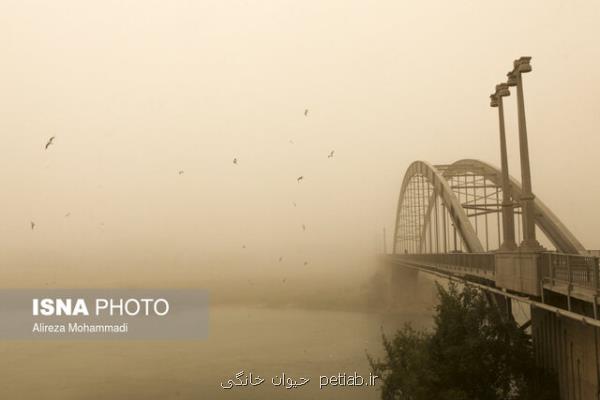 اخطار هواشناسی نسبت به خیزش گرد و خاک در استانهای هم مرز با عراق