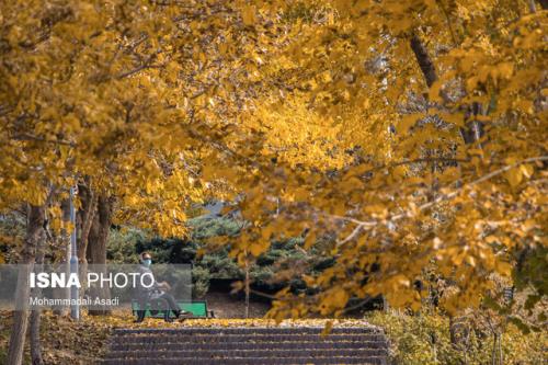 کاهش دمای هوای تهران از شنبه