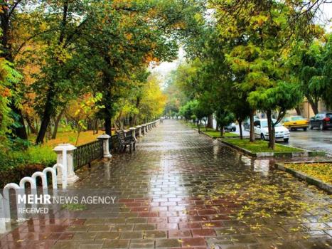 وزش باد شدید در 20 استان