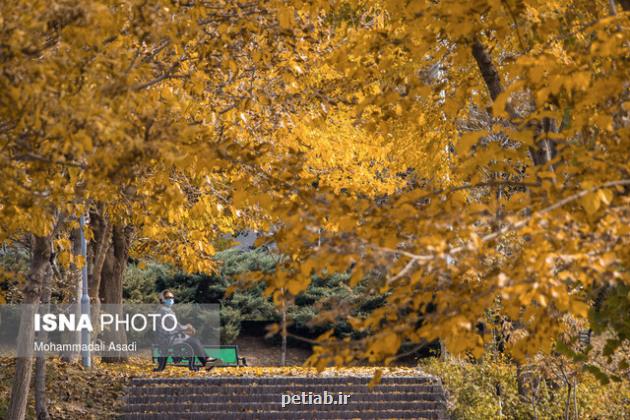 کاهش دمای هوای تهران از شنبه