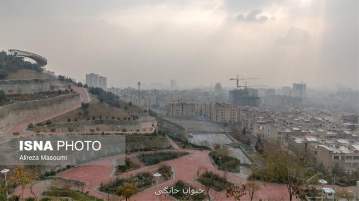 هوای تهران همچنان آلوده برای گروههای حساس