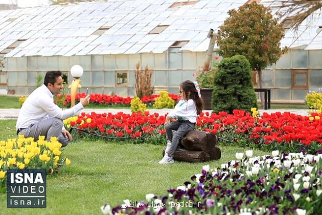 ویدیو، جشنواره گل های لاله در اراک
