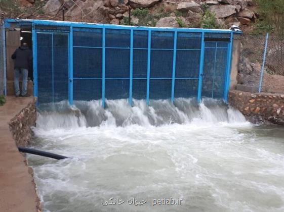 سالانه ۲۴۰ میلیون مترمکعب آب در زیرشاخه زاینده رود تبخیر می شود