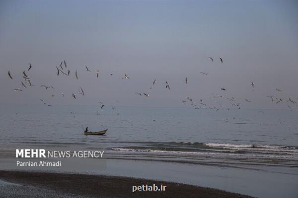 تدوین اطلس زیستگاه های حساس ساحلی دریایی خزر