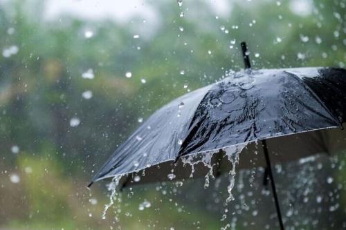بارش باران و وزش باد در 20 استان