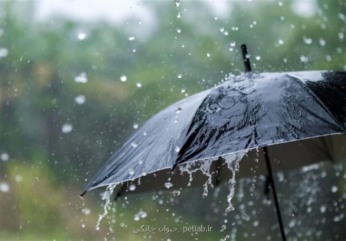 آخر هفته ای بارانی در ۲۴ استان