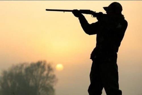 لاشه قوچ وحشی در پرور کشف شد کوشش برای دستگیری شکارچیان