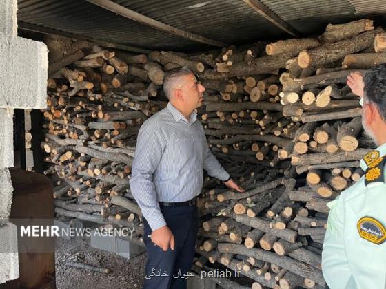 کشف ۱۳ تن چوب بلوط و بازداشت متخلفان در فلاورجان