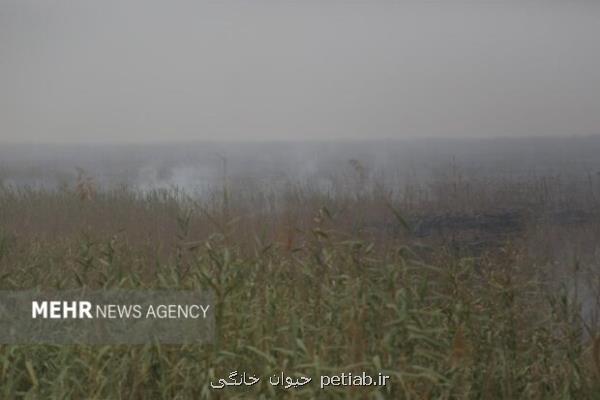 هورالعظیم در انتظار آب نفس هور به شماره افتاد