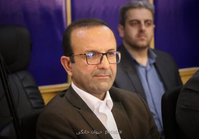 ادامه استقرار امدادگران در جنگل ابر آتشی که زیر خاکستر پنهان شده