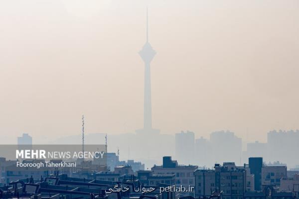 هوای تهران آلوده و در وضعیت نارنجی است