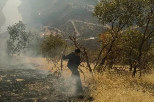 شبی میان برف و آتش آن چه در آتش الیت به امید بامداد می گذرد