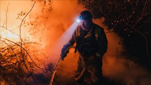 2025، بدترین فصل حریق های جنگلی اروپا