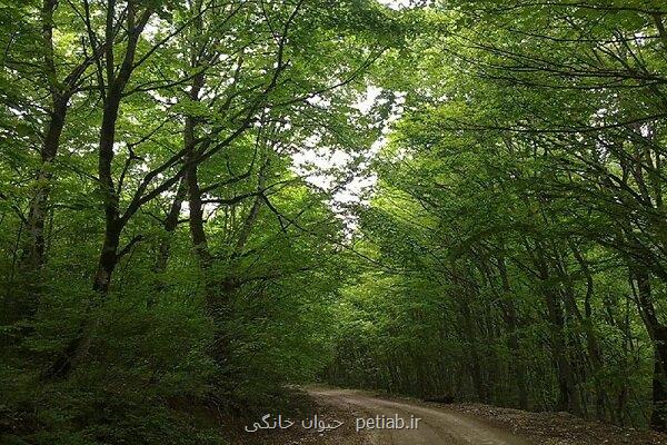 روز جهانی زیستگاه زنگ اخطار برای آینده سکونت بشر