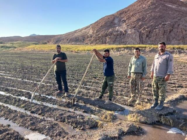 آغاز کشت علوفه برای حیات وحش در توران پایداری زیستگاه در دستور کار است