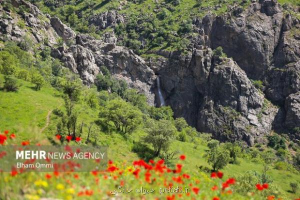 طلایه داران توسعه پایدار اولین انجمن خیرین منابع طبیعی استان سمنان