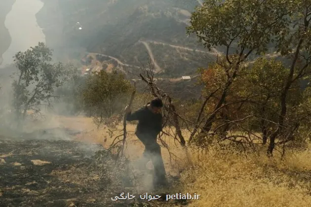 شبی میان برف و آتش آن چه در آتش الیت به امید بامداد می گذرد