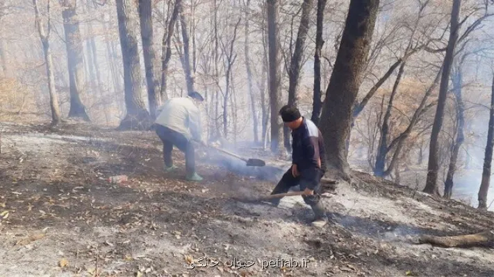 مهار و اطفاء چند حریق نقطه ای عرصه های منابع طبیعی گلستان