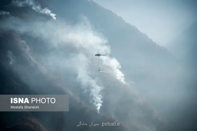 جزئیات عملیات اطفای آتش سوزی در جنگل های هیرکانی الیت